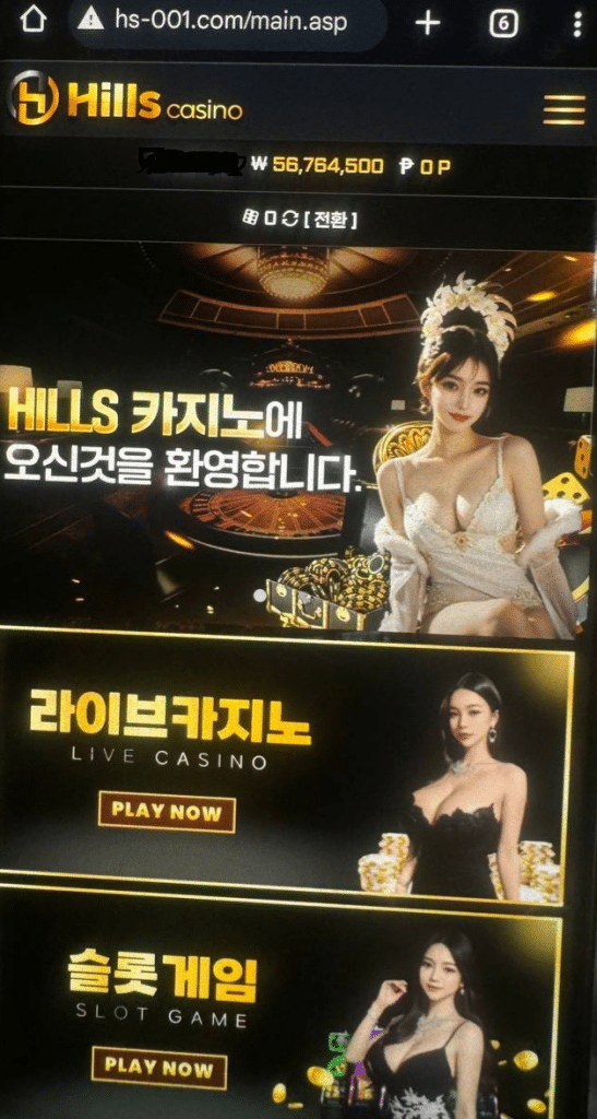 힐스카지노 먹튀 증거자료2